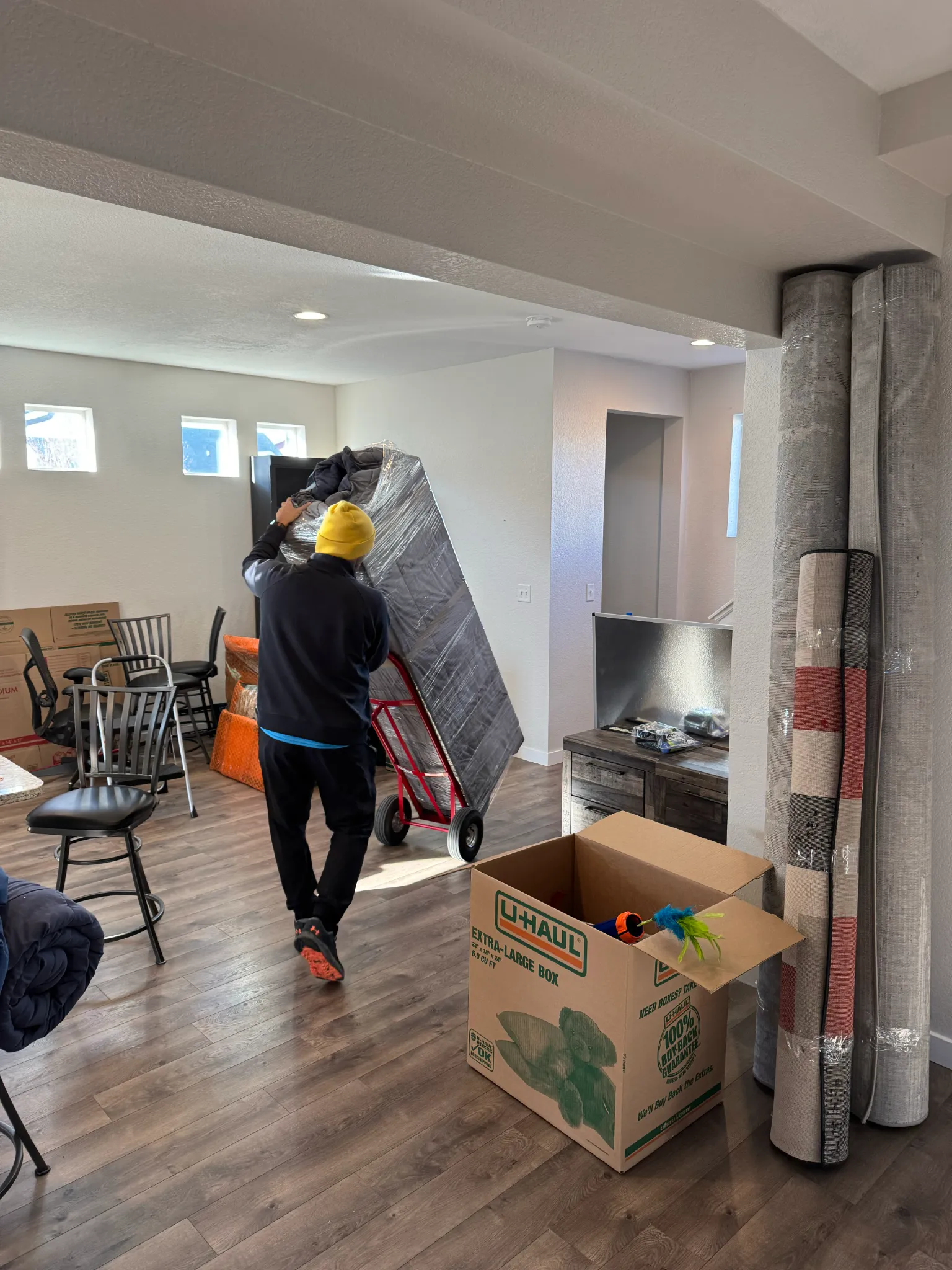 Mover in Denver transporting furniture on a dolly during urgent same day move — room filled with packed boxes and rolled carpets